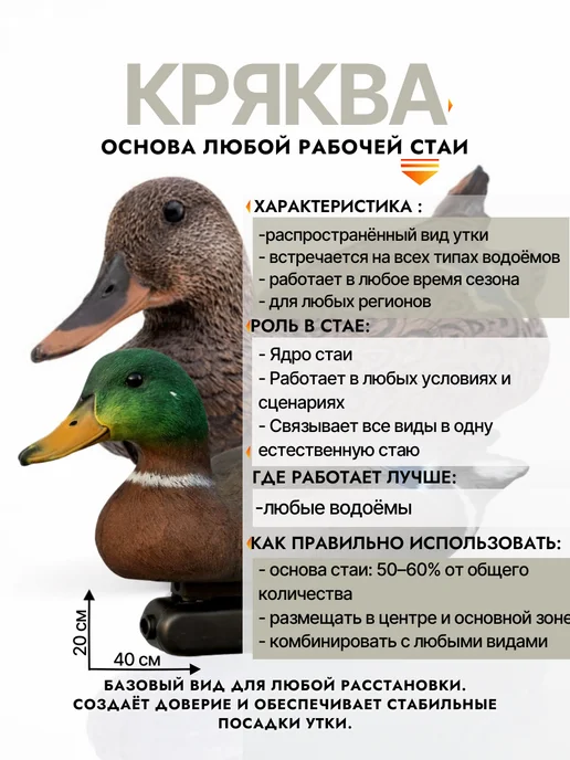 Дикий Гид Чучела уток для охоты подсадные кряква, 10 шт, фото 3