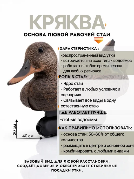 Дикий Гид Чучела уток Кряква для охоты, вариант, фото 3
