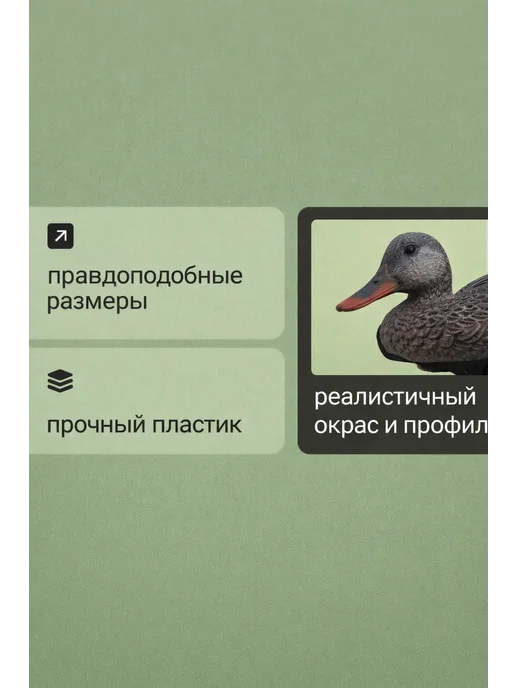 Дикий Гид Чучела уток Кряква для охоты, вариант, фото 5