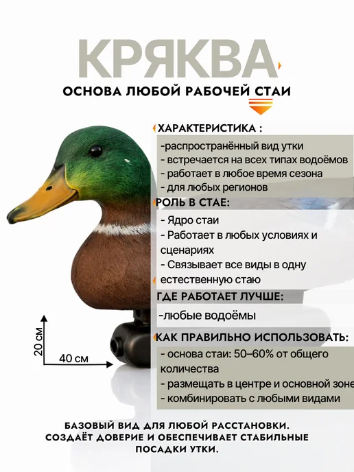Дикий Гид Чучела уток Кряква для охоты, вариант, фото 6