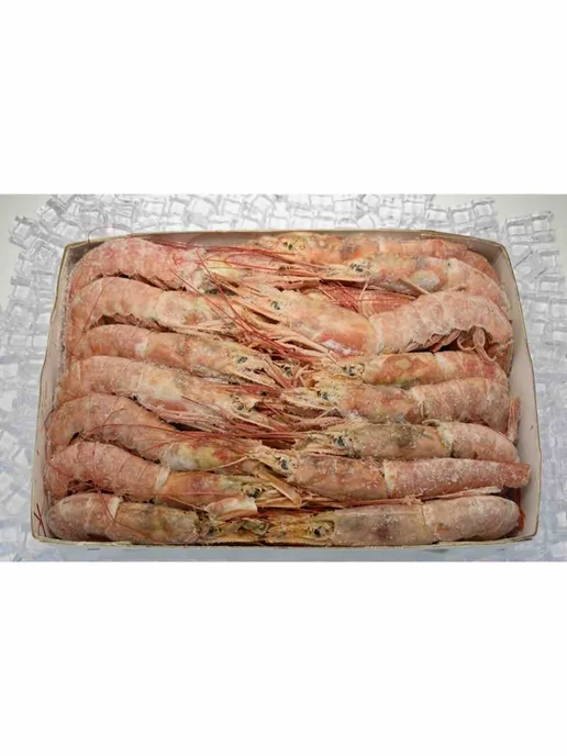 Лангустины с головой 10-20 Аргентинские 2 кг свежемороженые, 2 кг