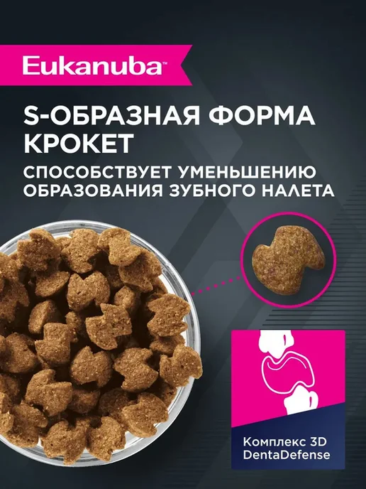 Сухой корм Eukanuba Набор Влажный для собак, 3,5 кг, фото 3