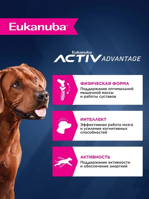 Сухой корм Eukanuba Набор Влажный для собак, 4 кг, фото 2