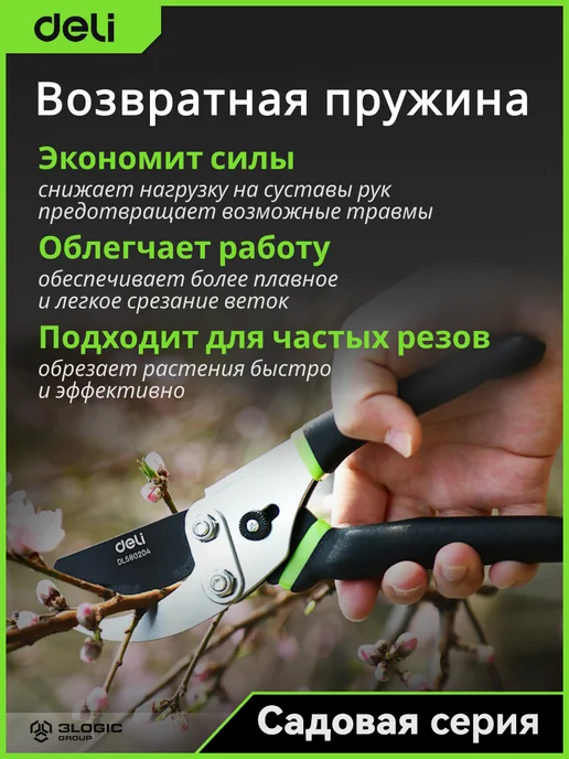 DELI Секатор 200мм DL580204 (тефлон, рез до 15мм), зеленый, фото 5