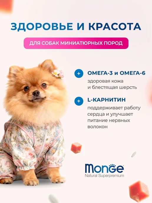 Сухой корм MONGE Монж для собак, мелкие, лосось, 2,5 кг, фото 2