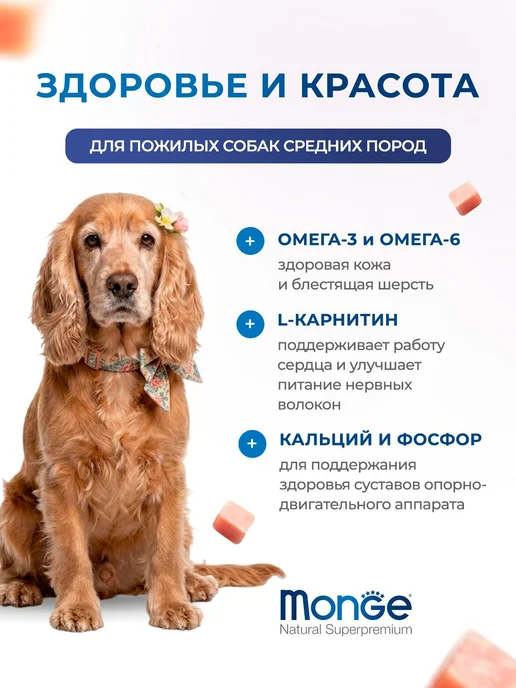Сухой корм MONGE Монж для собак, пожилые, средние, 12 кг, фото 2