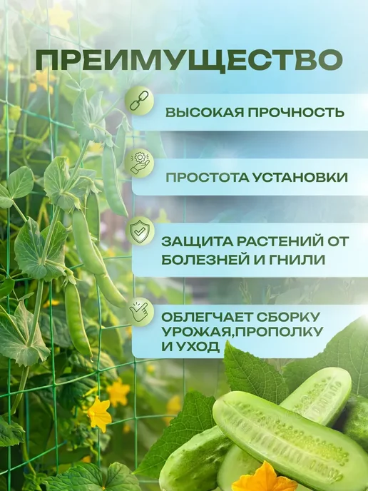 Сетка для цветов садовая 1х6м 15х15см, 1x6 м, фото 2