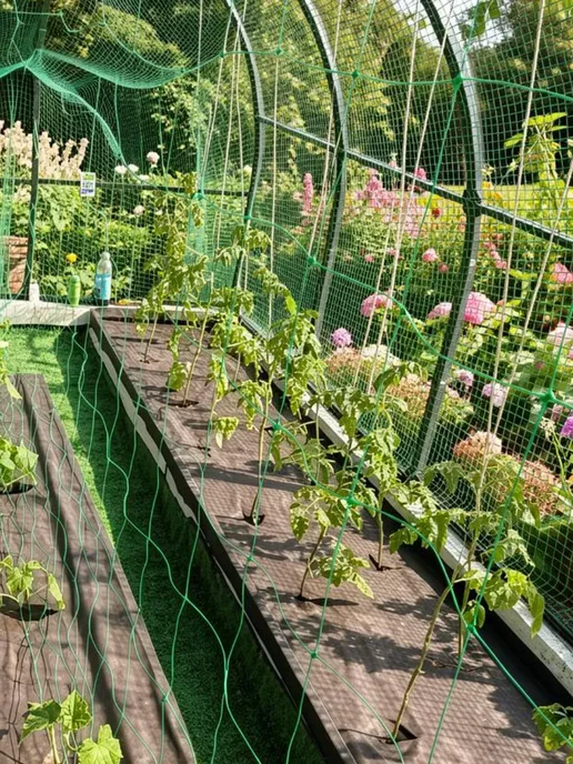 Сетка для цветов садовая 1х6м 15х15см, 1x6 м, фото 4