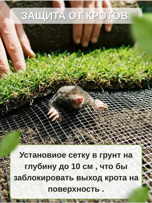 Сетка от кротов 1х10м 15х15мм, 1x10 м, фото 3
