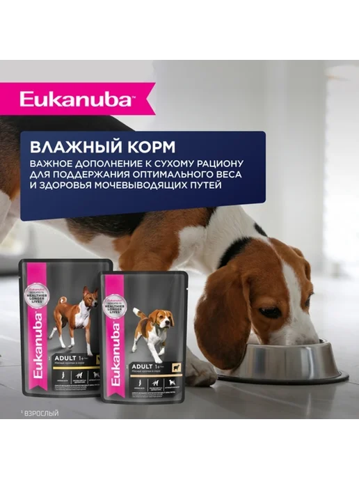 Сухой корм Eukanuba Очень для собак, крупные, ягненок, 3 кг, фото 7