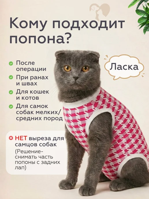 Попона послеоперационная для кошек на липучке, белый, фото 6