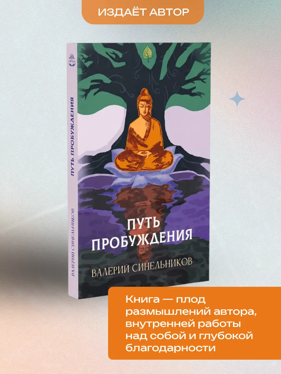 Путь пробуждения. Валерий Синельников