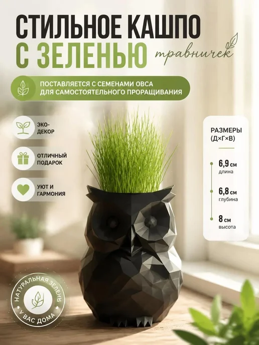 Sweet hobby Набор для самостоятельного выращивания травы белая сова, черный