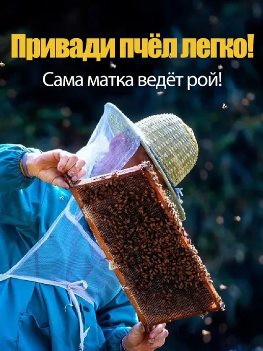 Паста-приманка для пчёл, 30 г, 30 г, фото 6