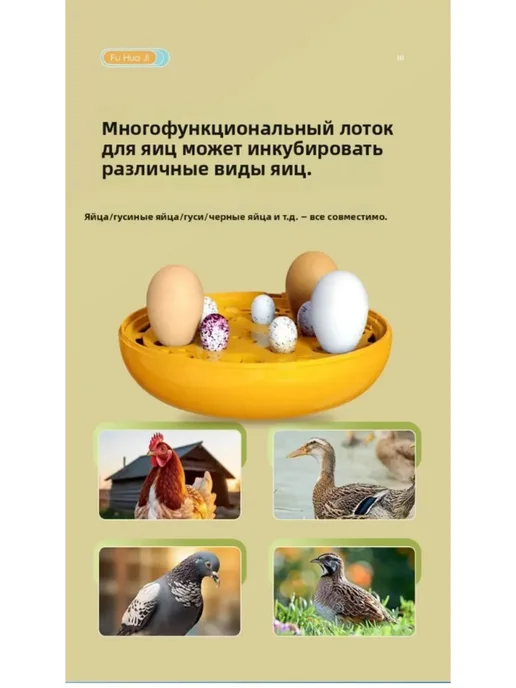 Инкубатор для яиц автоматический,желтый, желтый, фото 2