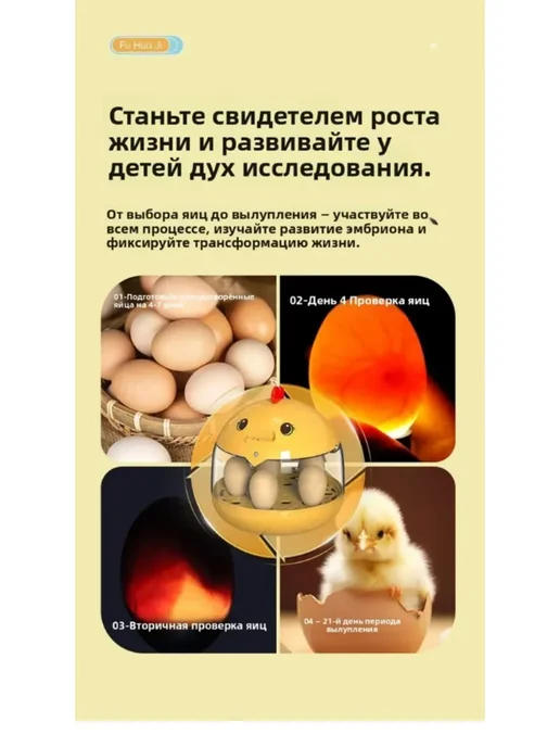 Инкубатор для яиц автоматический,желтый, желтый, фото 7