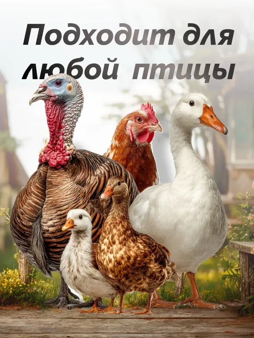 Перосъемная машина щипцы для птицы удаление перьев, черный, фото 6