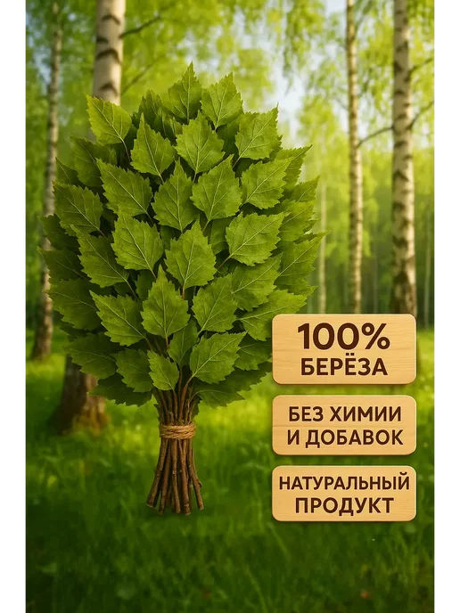 Веники для бани Березовые 5шт, 5 шт, фото 4