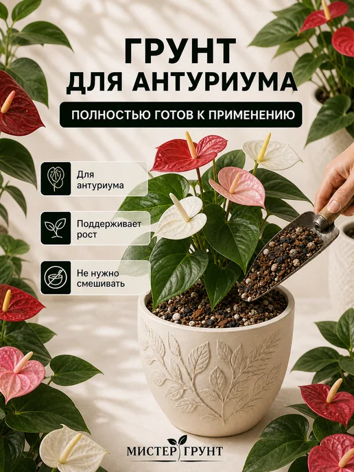 Мистер Грунт Грунт для антуриума 5л Люкс, 5 л, фото 4