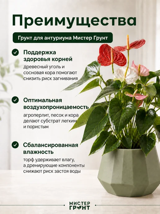 Мистер Грунт Грунт для антуриума 5л Люкс, 5 л, фото 6