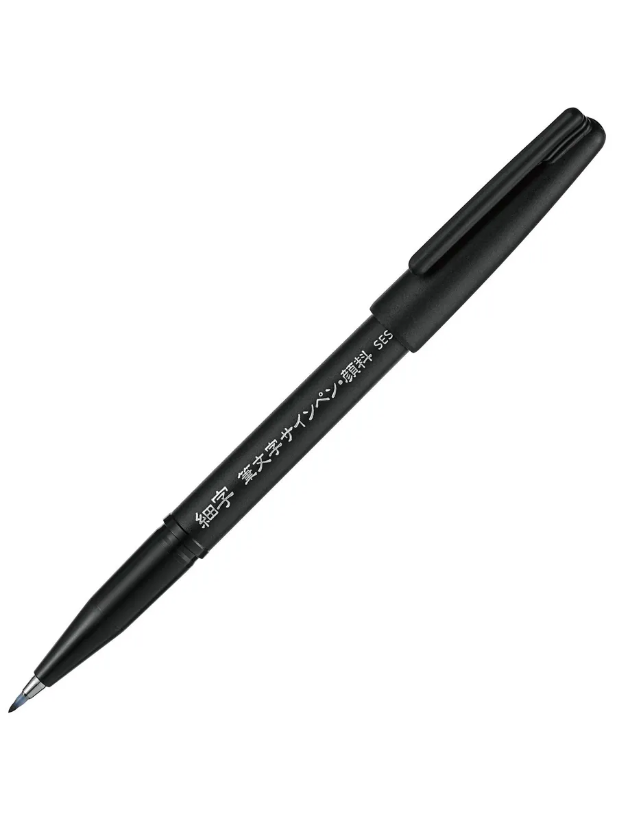 Набор ручек-кистей Pentel Sign Pen, 5 шт.