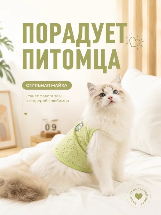 ЛКЛаб Майка для собак мелких средних пород одежда для котов, зеленый, фото 7