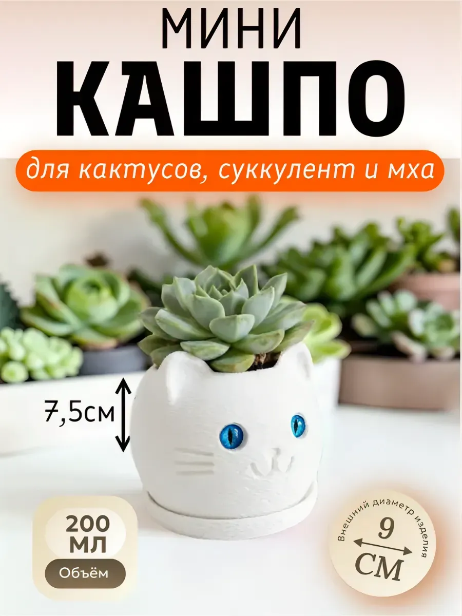 Кашпо мини - "Котик" для кактусов и суккулентов, 0.2 л
