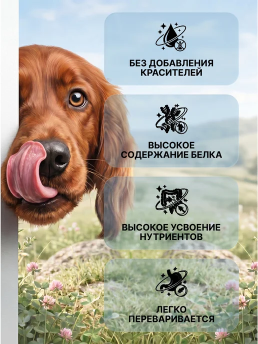 Сухой корм PURINA PRO PLAN Proplan Cухой для собак, средние, ягненок, 1,6 кг, фото 2