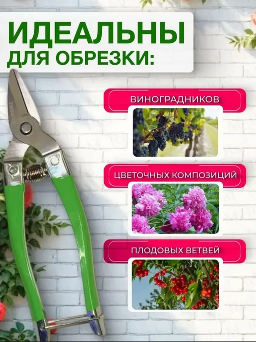 Секатор, ножницы садовые для цветов с прямыми лезвиями, вариант, фото 2