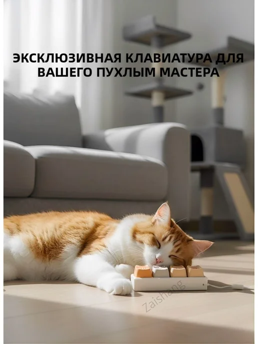 Антистресс-игрушка Поп-ит со звуком, вариант, фото 2