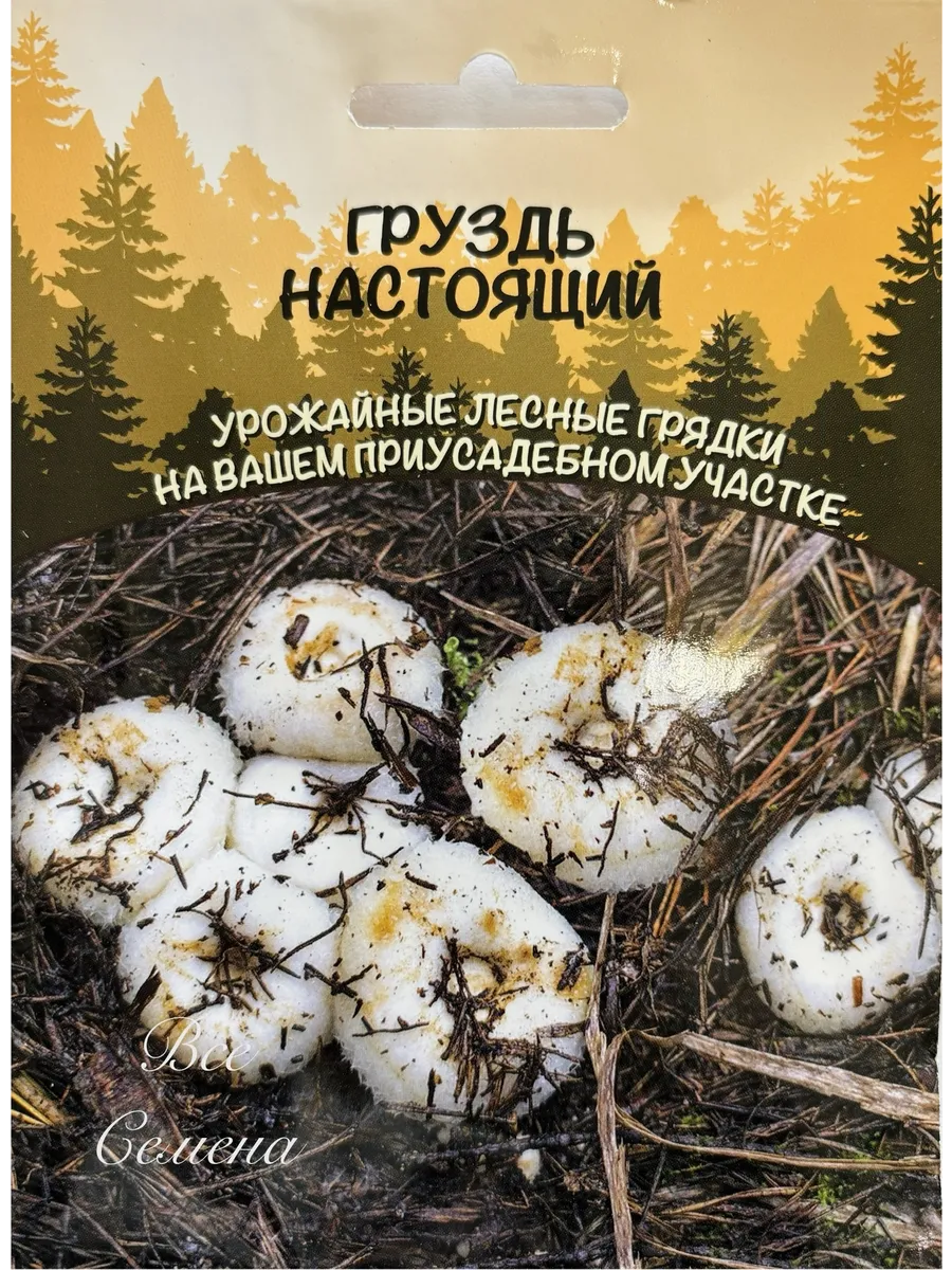 Гриб Груздь Настоящий, 1 уп 30 мл мицелий