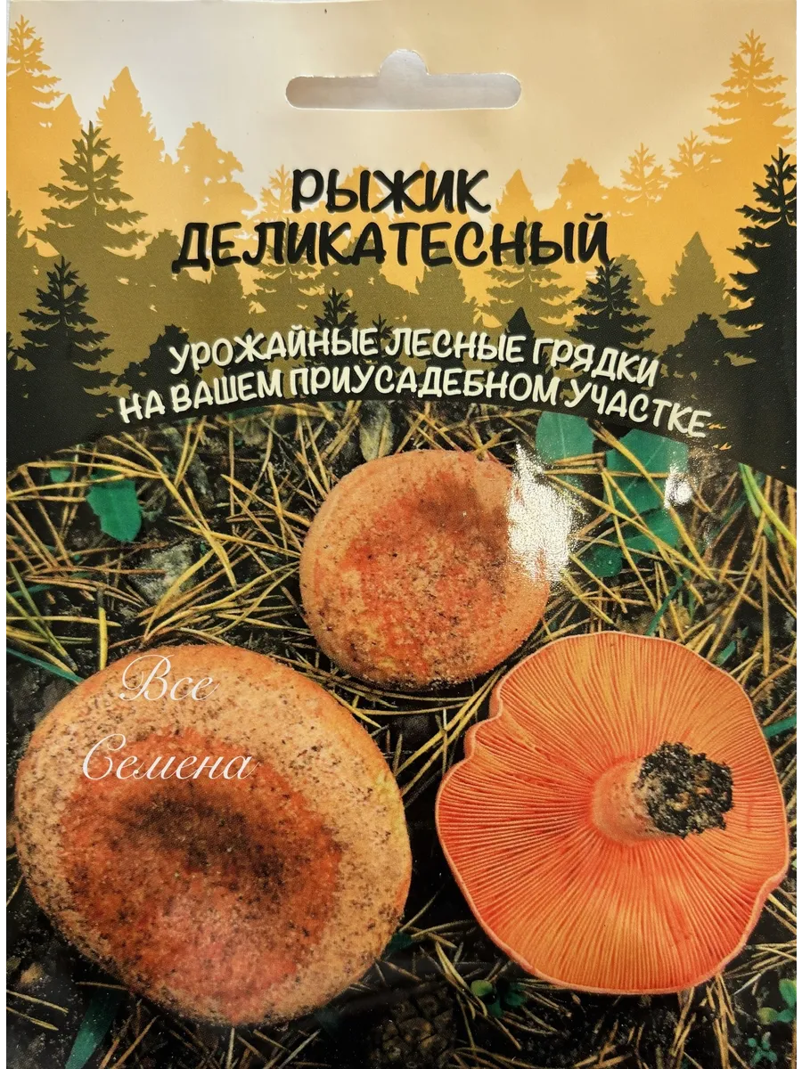 Гриб Рыжик Деликатесный, 1 уп /30 мл мицелий