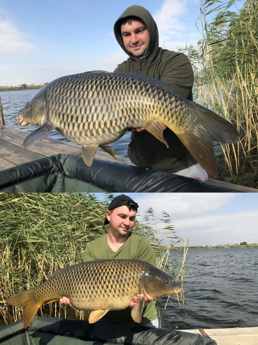 Трофей Fishing Ликвид-дип ароматизатор для рыбалки серии "Карп" Груша, вариант, фото 3