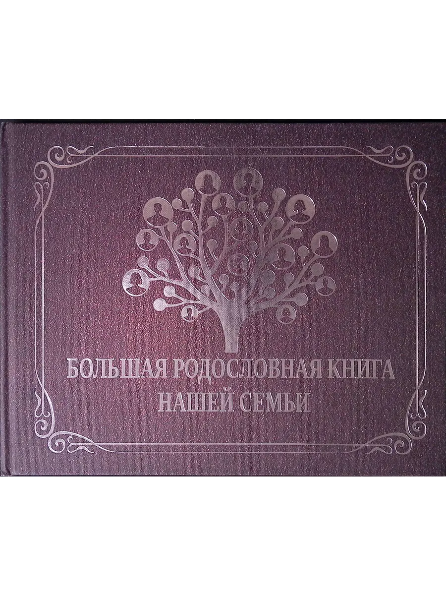Большая родословная книга нашей семьи