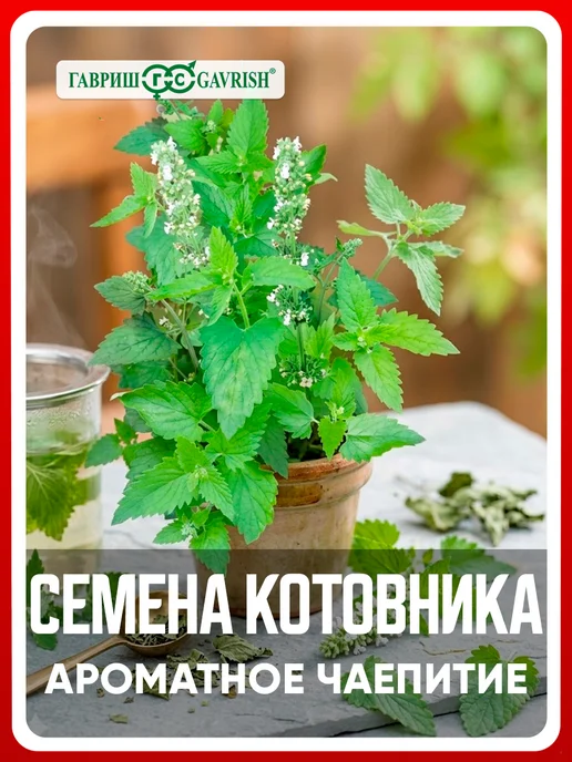ГАВРИШ Семена котовник Ароматное чаепитие, 0,1 гр, 0,1 г
