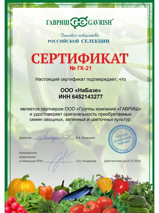 ГАВРИШ Семена петрушка листовая кудрявая Красотка, 2 гр, 2 г, фото 4