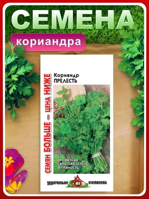 ГАВРИШ Семена кориандр Прелесть, 5 гр, 5 г, фото 2