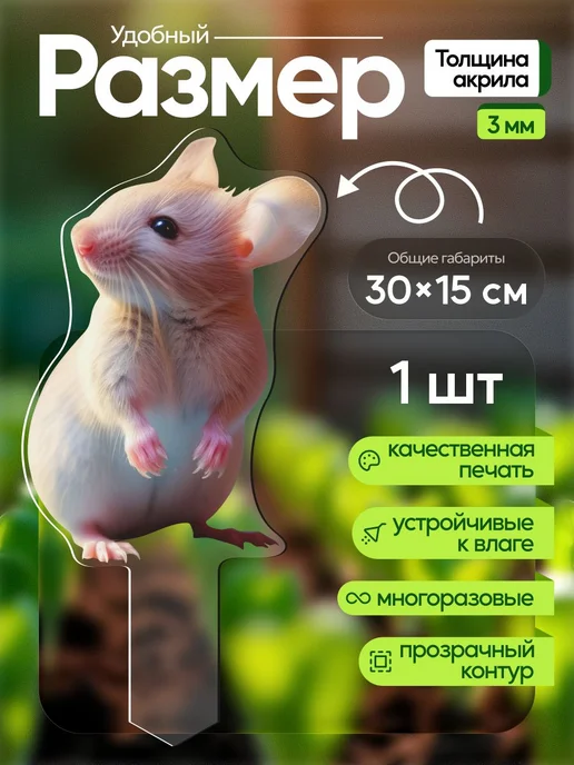 WoW! Эффект! Топпер табличка Мышка Крыска 1 штука, белый, фото 2