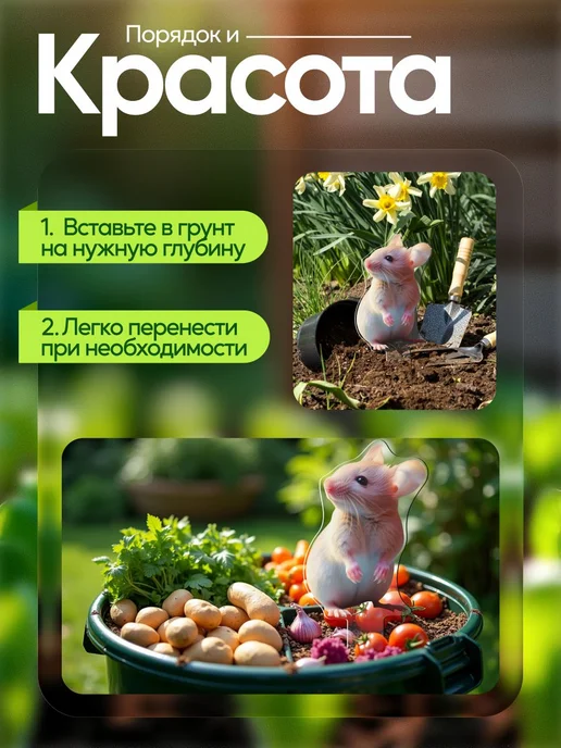 WoW! Эффект! Топпер табличка Мышка Крыска 1 штука, белый, фото 3