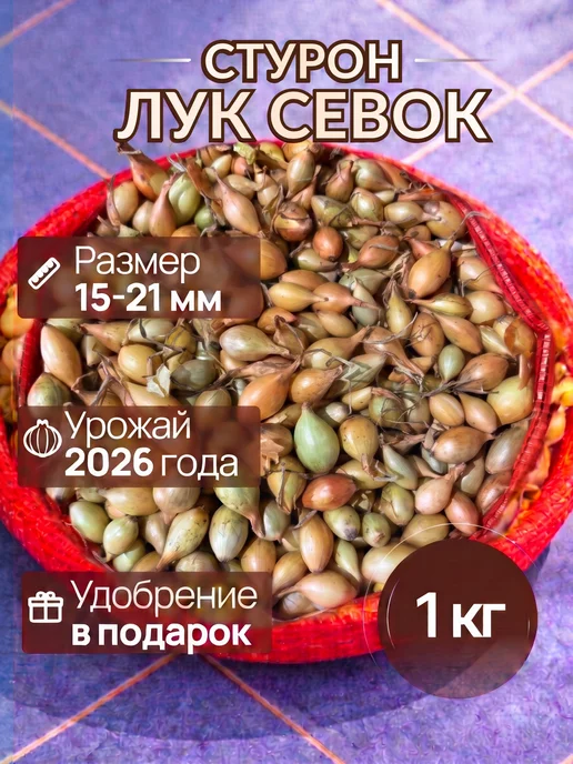 Лук севок Стурон для посадки осенью 1 кг, 1 кг