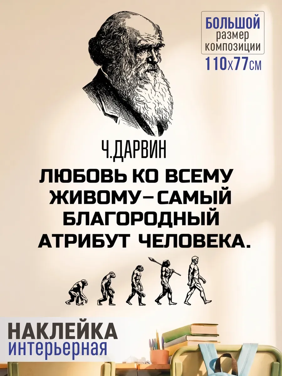 Наклейка на стену в школу в класс