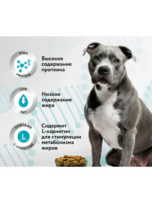 Сухой корм МИРАТОРГ MEAT Expert Obesity для собак, 1,5 кг, фото 3