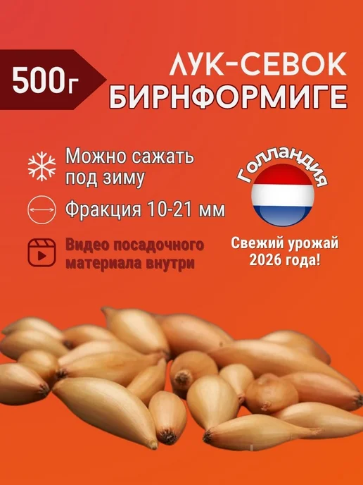 Лук севок Бирнформиге озимый 0,5 кг Голландия, 500 г