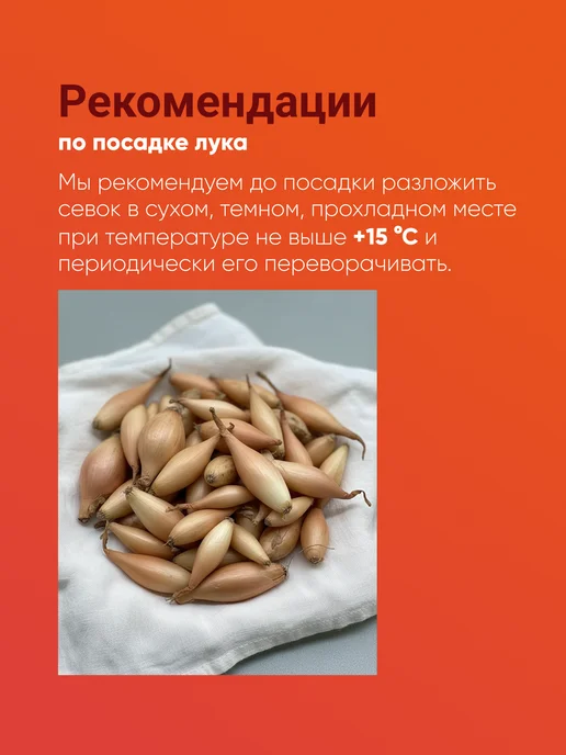 Лук севок Бирнформиге озимый 0,5 кг Голландия, 500 г, фото 6