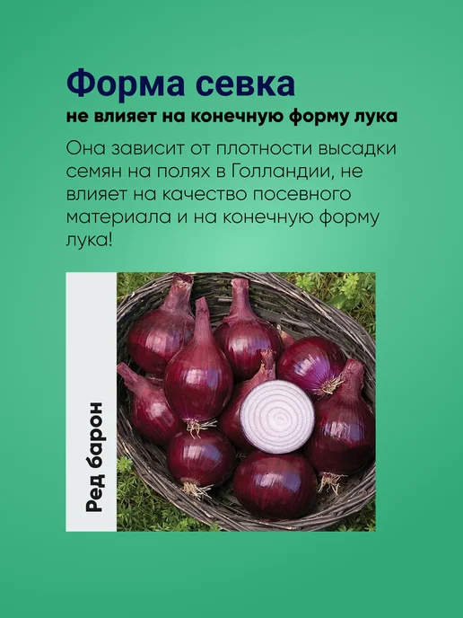 Лук севок Ред Барон красный озимый, 0,5 кг Голландия, 500 г, фото 4