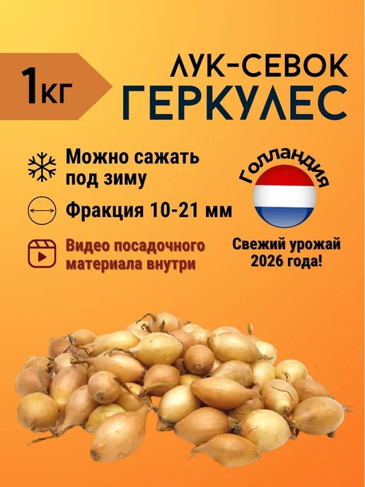 Лук севок Штутгартер Ризен озимый 0,5 кг, 1 кг