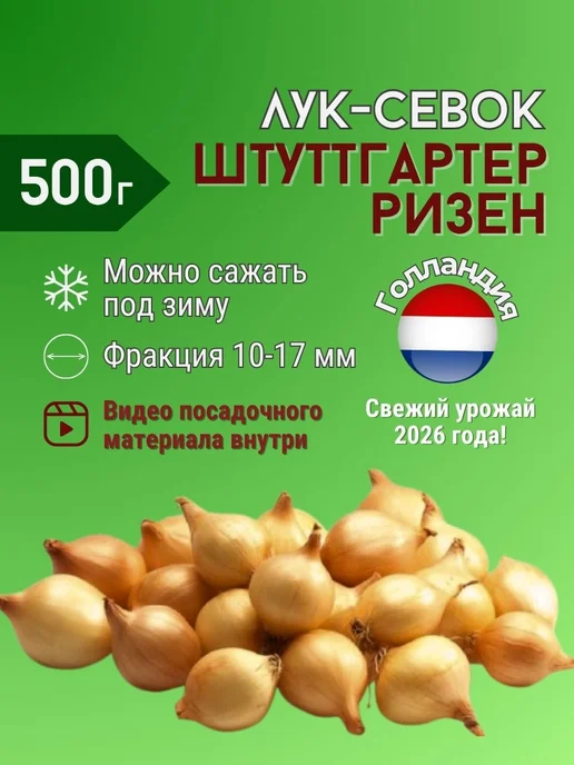 Лук севок Штутгартер Ризен озимый 0,5 кг, 0,5 кг