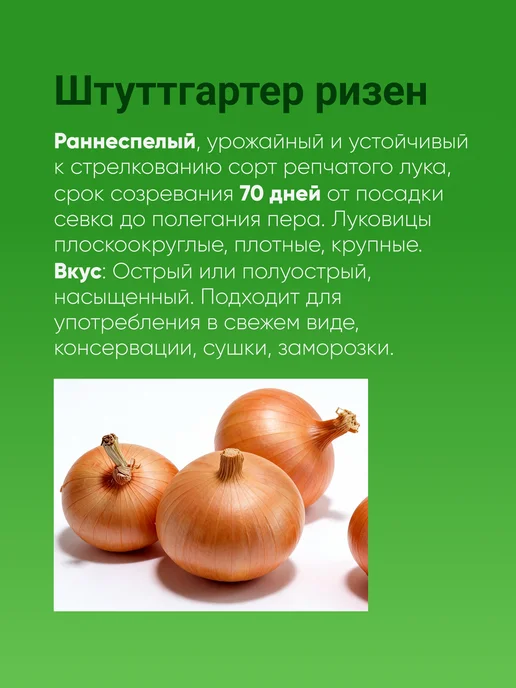 Лук севок Штутгартер Ризен озимый 0,5 кг, 0,5 кг, фото 3