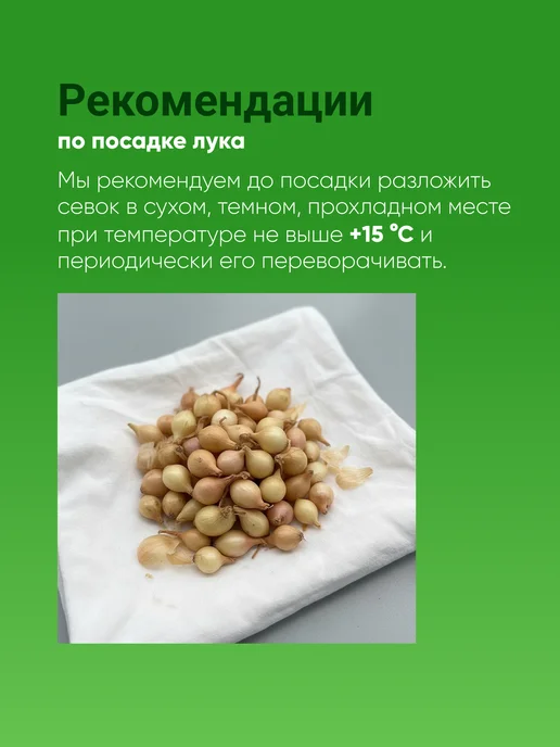 Лук севок Штутгартер Ризен озимый 0,5 кг, 0,5 кг, фото 6
