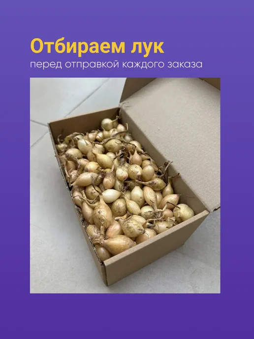 Лук севок Купидо озимый 10-21мм 500 г Голландия, 500 г, фото 5
